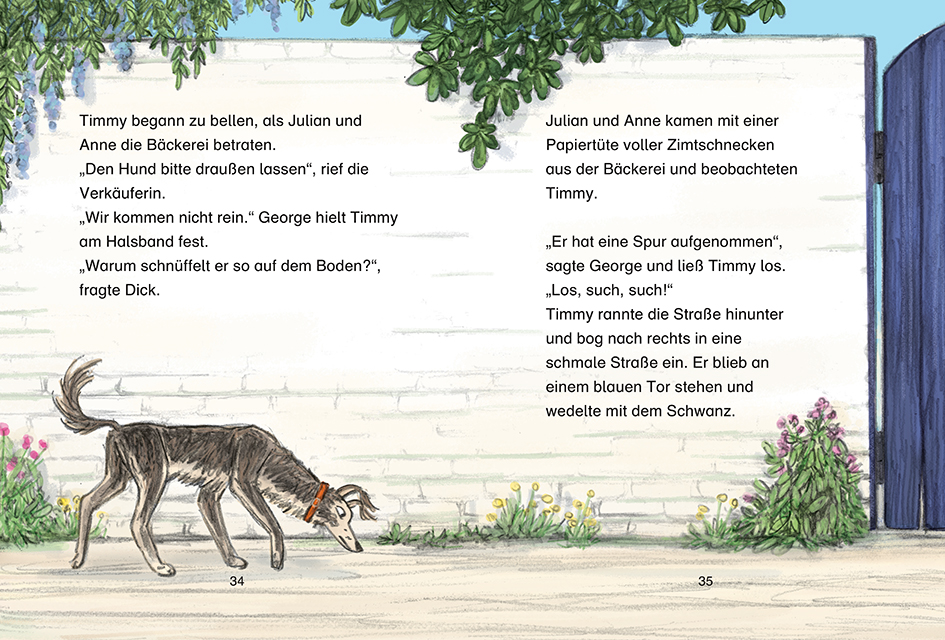 Die Fünf Freunde. Wo steckt Cookie?